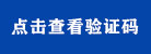 验证码